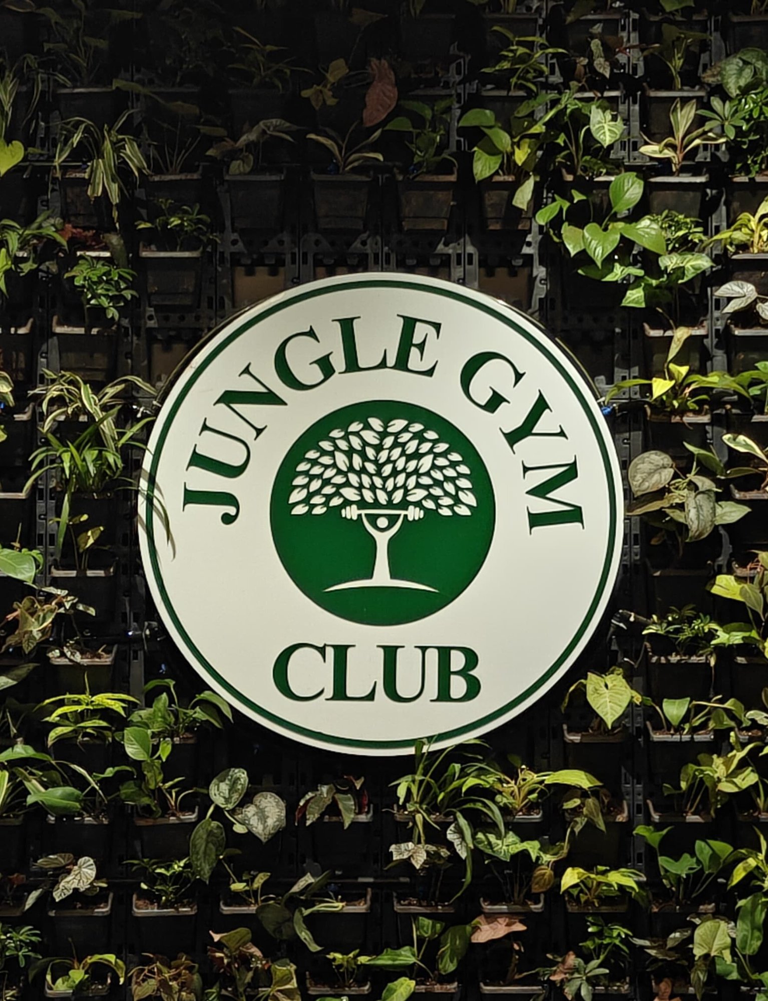 Logo Main img 1
